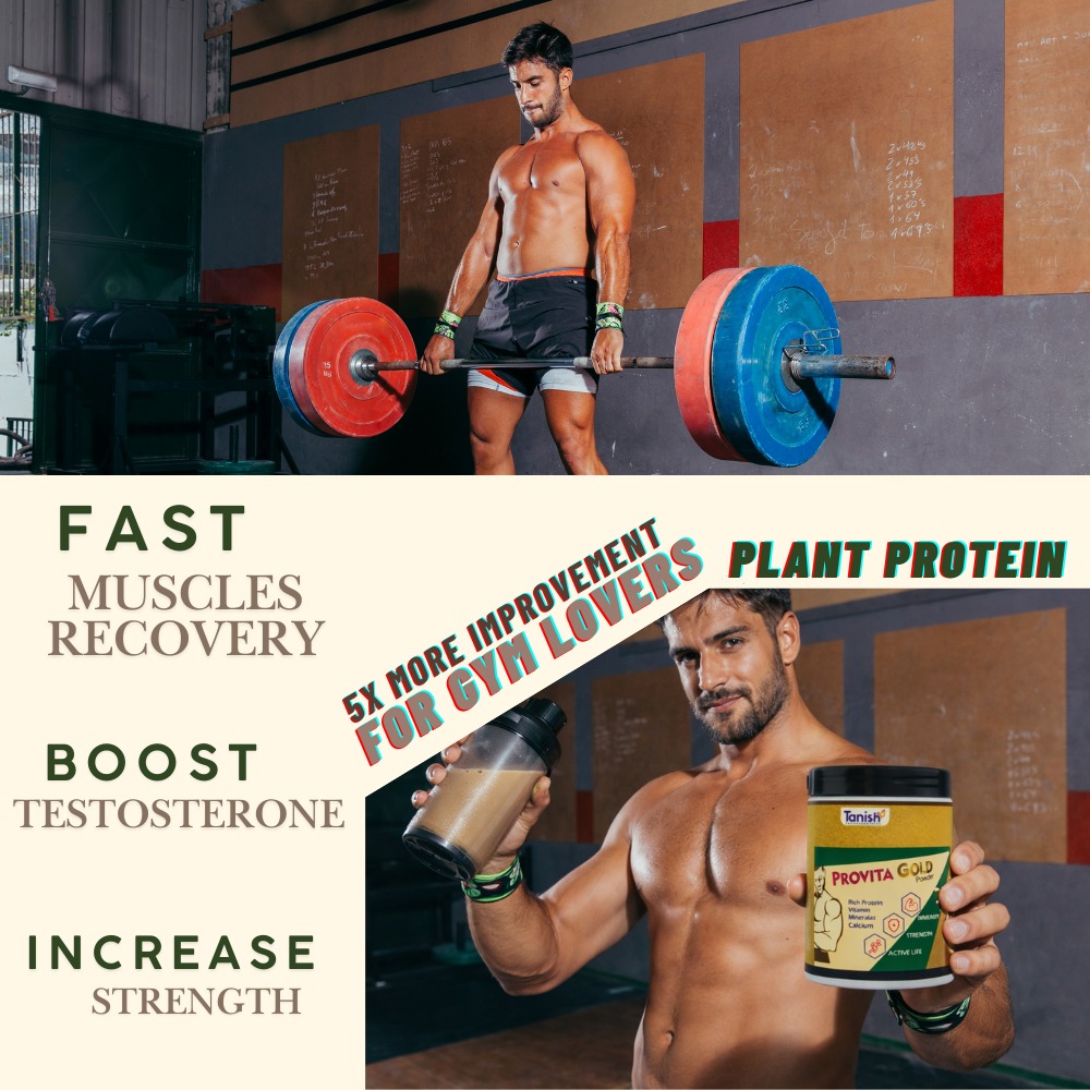 Provita Gold Ayurvedic Nutrition Supplement for Energy & Muscle Health - Image 7