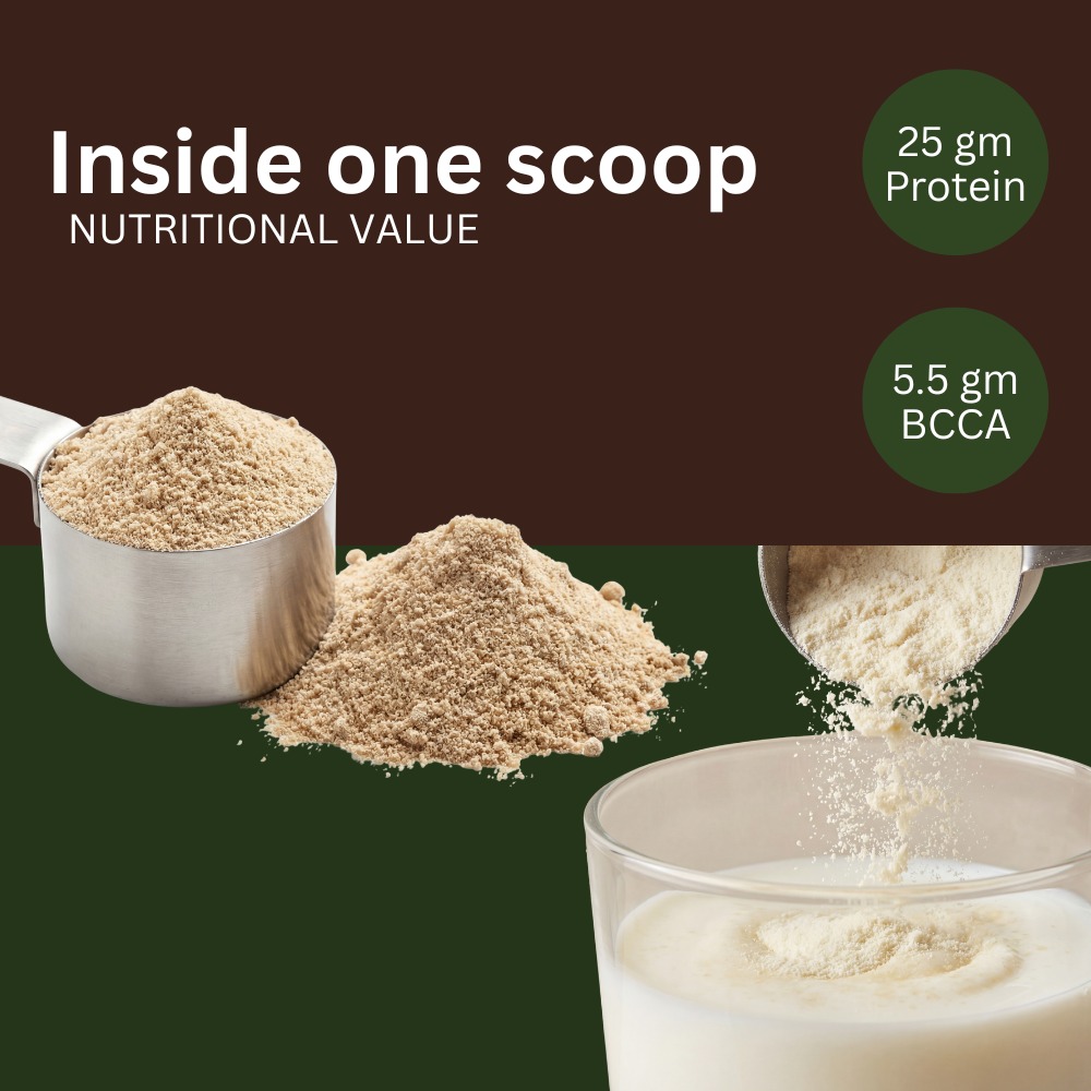 Provita Gold Ayurvedic Nutrition Supplement for Energy & Muscle Health - Image 8