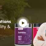 Ayurvedic Solutions for Natural Vitality & Wellness