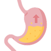Gut Health