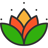 Migraine, Anxiety & Sleep Wellness